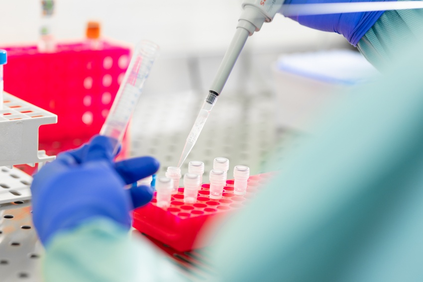 Researcher filling test tubes