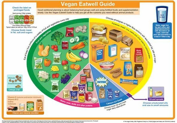 PIcture guide to eating well on a vegan diet. The information is included on the main webpage.